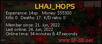 Player statistics userbar for LHAJ_HOPS