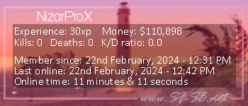 Player statistics userbar for NizarProX