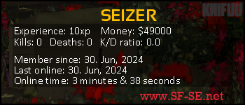 Player statistics userbar for SEIZER