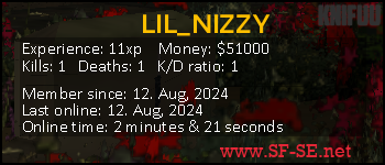 Player statistics userbar for LIL_NIZZY