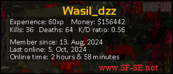 Player statistics userbar for Wasil_dzz