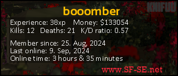 Player statistics userbar for booomber