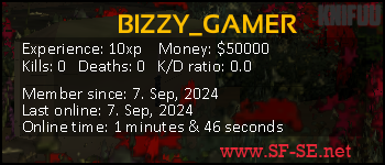 Player statistics userbar for BIZZY_GAMER